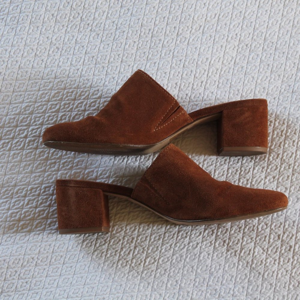Madewell Mule in Suede